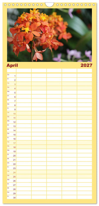 Mein Orchideentraum (CALVENDO Familienplaner 2027)