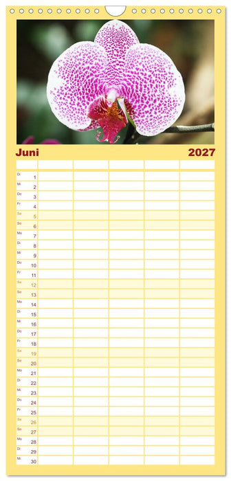 Mein Orchideentraum (CALVENDO Familienplaner 2027)