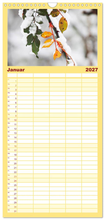 Blätter (CALVENDO Familienplaner 2027)