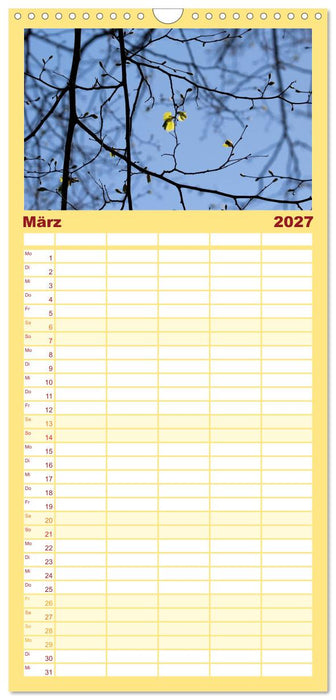 Blätter (CALVENDO Familienplaner 2027)