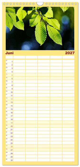 Blätter (CALVENDO Familienplaner 2027)