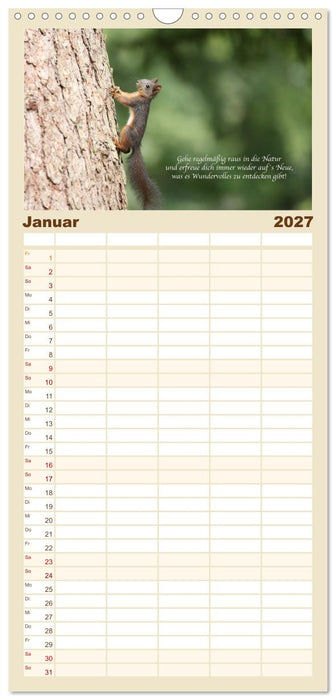 Tipps von Eichhörnchen an Eichhörnchenliebhaber (CALVENDO Familienplaner 2027)