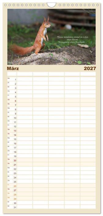 Tipps von Eichhörnchen an Eichhörnchenliebhaber (CALVENDO Familienplaner 2027)