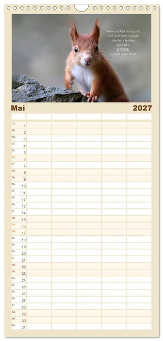 Tipps von Eichhörnchen an Eichhörnchenliebhaber (CALVENDO Familienplaner 2027)