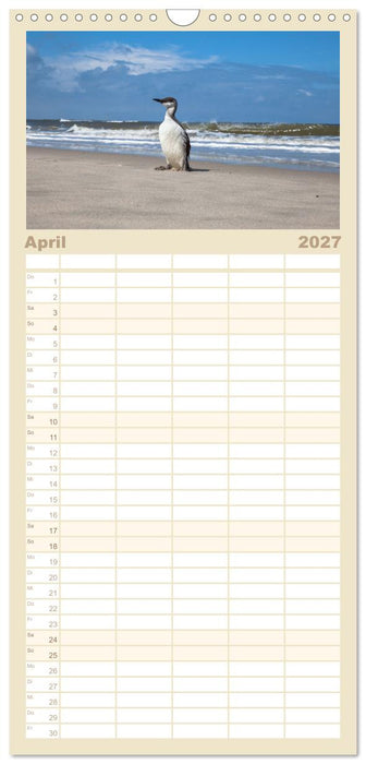 Moin Spiekeroog (CALVENDO Familienplaner 2027)