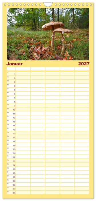 Heimische Pilze (CALVENDO Familienplaner 2027)