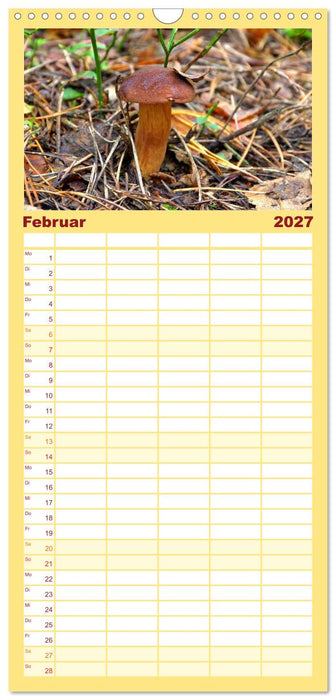Heimische Pilze (CALVENDO Familienplaner 2027)