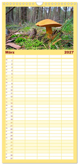 Heimische Pilze (CALVENDO Familienplaner 2027)
