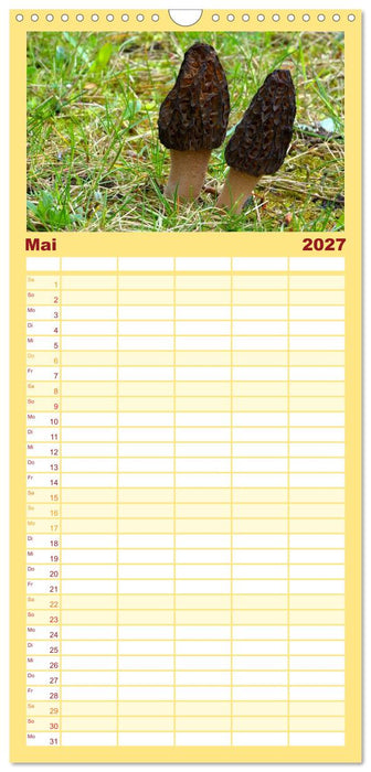Heimische Pilze (CALVENDO Familienplaner 2027)