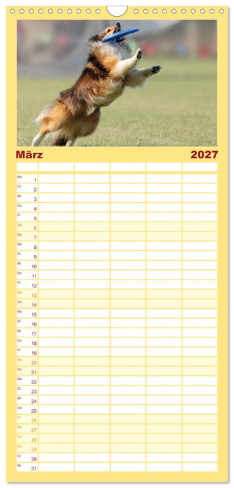 HUNDESPORT - Agility und Dog Frisbee (CALVENDO Familienplaner 2027)