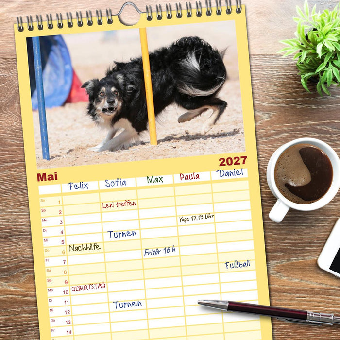 HUNDESPORT - Agility und Dog Frisbee (CALVENDO Familienplaner 2027)