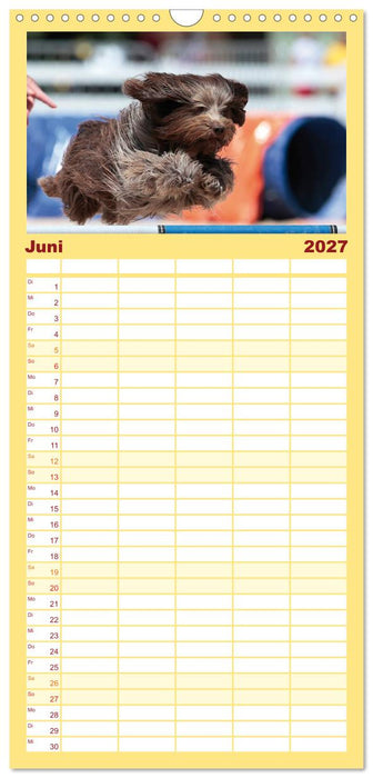 HUNDESPORT - Agility und Dog Frisbee (CALVENDO Familienplaner 2027)