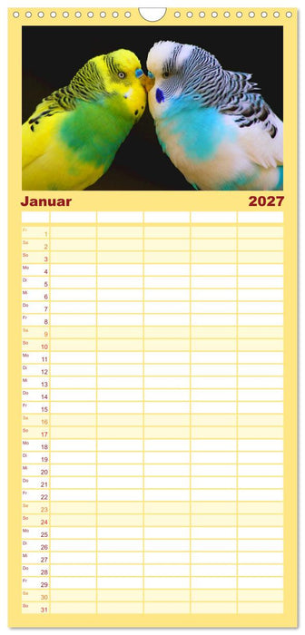 Wellensittiche - gesellige Freunde (CALVENDO Familienplaner 2027)