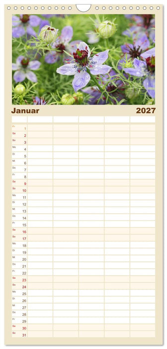Heilsame und giftige Arzneipflanzen (CALVENDO Familienplaner 2027)