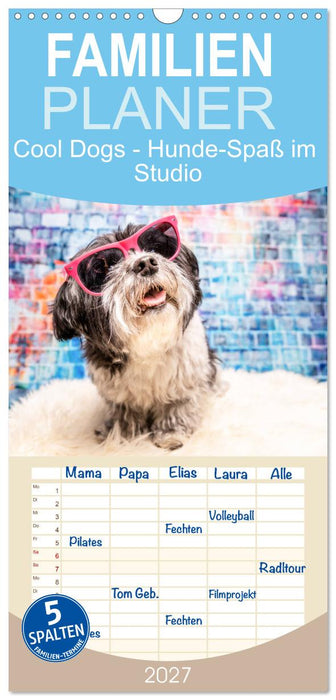 Cool Dogs - Hunde-Spaß im Studio (CALVENDO Familienplaner 2027)