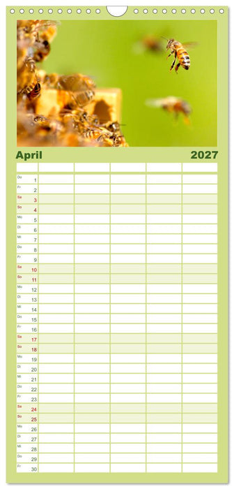 Die Welt der fleißigen Bienen (CALVENDO Familienplaner 2027)