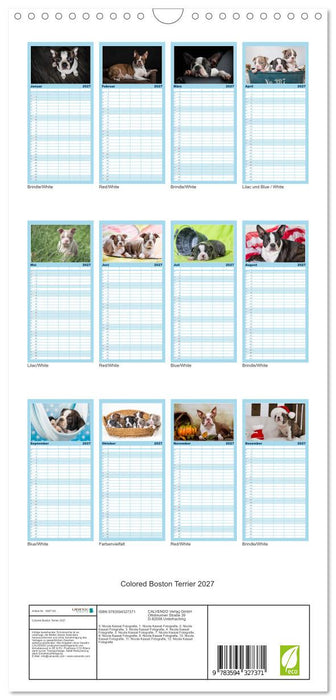 Colored Boston Terrier 2027 (CALVENDO Familienplaner 2027)