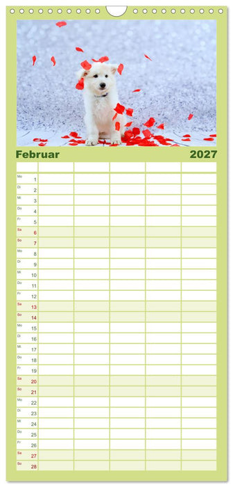 Weiße Schäferhunde - Welpenzeit (CALVENDO Familienplaner 2027)
