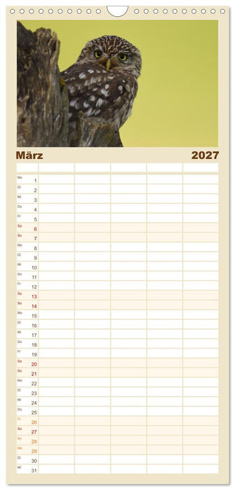 Faszination Steinkauz (CALVENDO Familienplaner 2027)