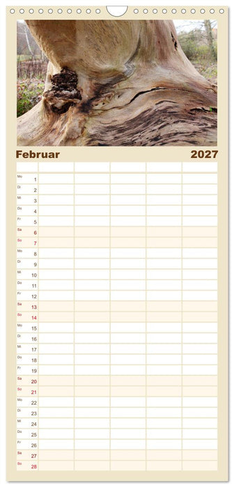 Wenn Bäume erzählen könnten (CALVENDO Familienplaner 2027)