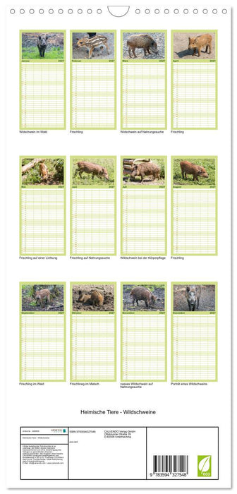 Heimische Tiere - Wildschweine (CALVENDO Familienplaner 2027)