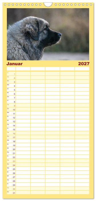 Kaukasischer Owtscharka (CALVENDO Familienplaner 2027)