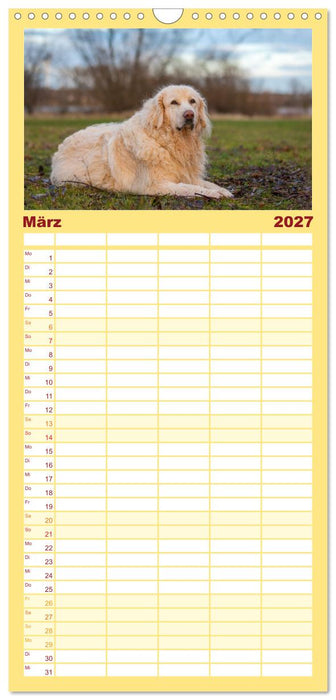 Kaukasischer Owtscharka (CALVENDO Familienplaner 2027)
