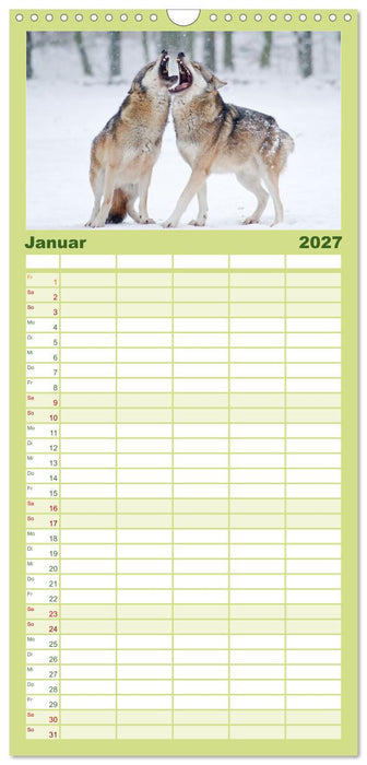 Magie Heimische Natur (CALVENDO Familienplaner 2027)