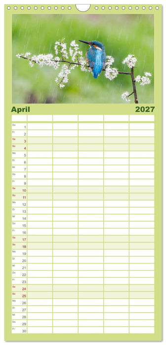 Magie Heimische Natur (CALVENDO Familienplaner 2027)