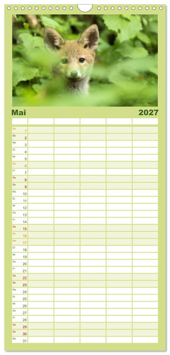 Magie Heimische Natur (CALVENDO Familienplaner 2027)