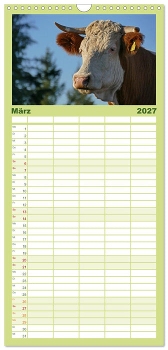 Weiderinder im Frankenwald (CALVENDO Familienplaner 2027)