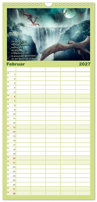 Wo die wilden Drachen wohnen (CALVENDO Familienplaner 2027)