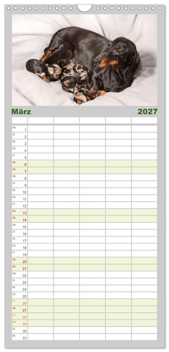 Dackelblicke - Lassen Herzen erwärmen. (CALVENDO Familienplaner 2027)