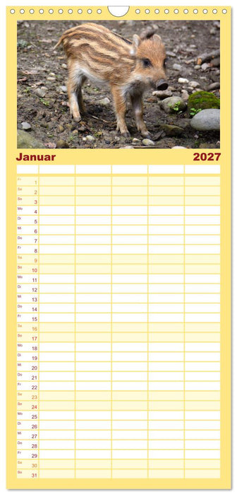 Nachwuchs in der Tierwelt (CALVENDO Familienplaner 2027)