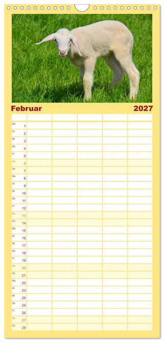 Nachwuchs in der Tierwelt (CALVENDO Familienplaner 2027)
