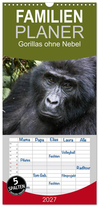 Gorillas ohne Nebel (CALVENDO Familienplaner 2027)