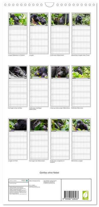 Gorillas ohne Nebel (CALVENDO Familienplaner 2027)