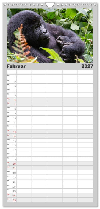Gorillas ohne Nebel (CALVENDO Familienplaner 2027)