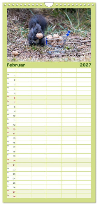 Eichhörnchenliebe (CALVENDO Familienplaner 2027)
