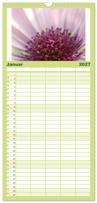 Traum Blumen (CALVENDO Familienplaner 2027)