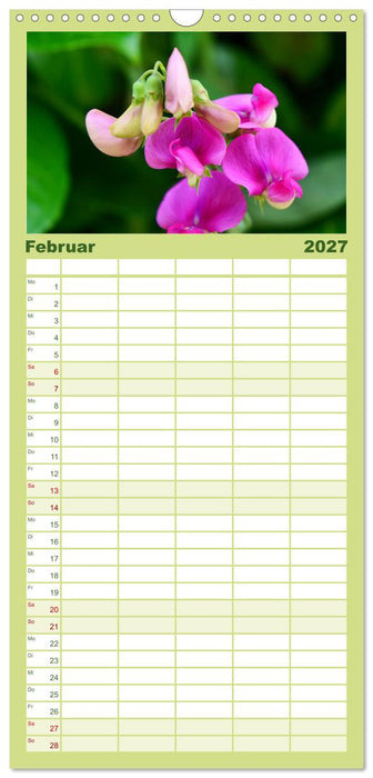 Traum Blumen (CALVENDO Familienplaner 2027)