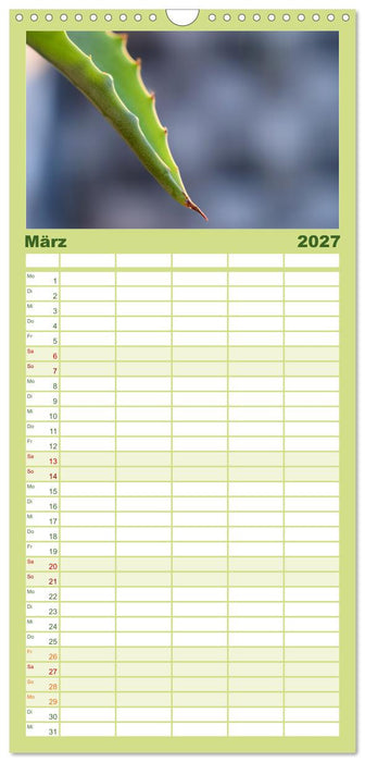 Traum Blumen (CALVENDO Familienplaner 2027)