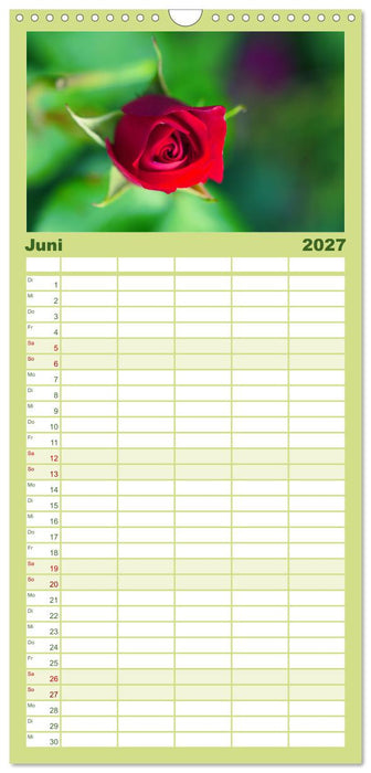 Traum Blumen (CALVENDO Familienplaner 2027)