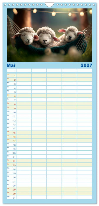 Die Schafe sind los Wollige Aussichten (CALVENDO Familienplaner 2027)
