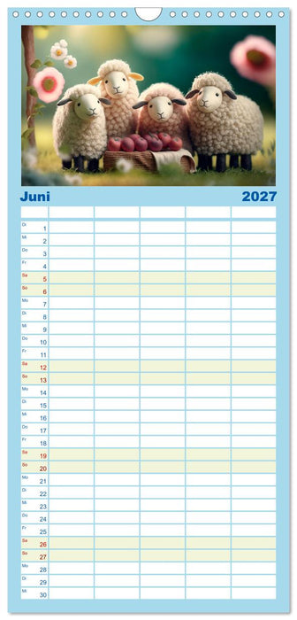 Die Schafe sind los Wollige Aussichten (CALVENDO Familienplaner 2027)