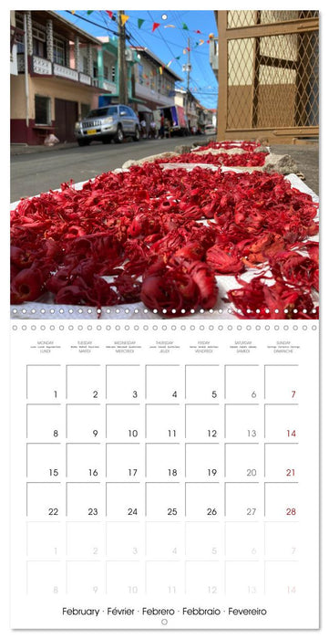 Colours of Grenada (CALVENDO Monthly Calendar 2027)