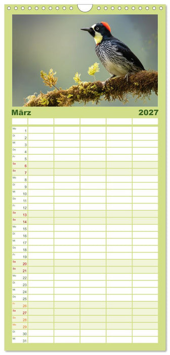Zauberhaft Tierwelt in Costa Rica (CALVENDO Familienplaner 2027)