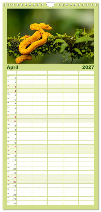 Zauberhaft Tierwelt in Costa Rica (CALVENDO Familienplaner 2027)