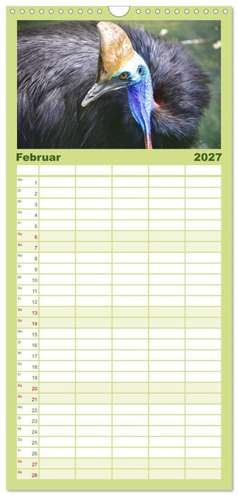 Faszination Australien - Welt der Vögel (CALVENDO Familienplaner 2027)
