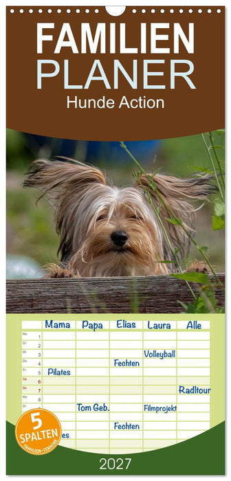 Hunde Action (CALVENDO Familienplaner 2027)